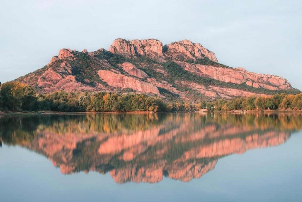 La Bastide Saint Pierre T2 - Jardin Daire Roquebrune-sur Argens Dış mekan fotoğraf